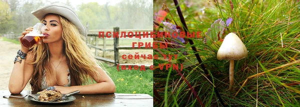 меф Вяземский