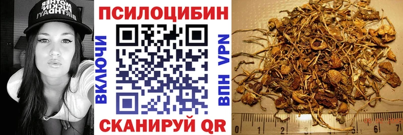 Купить закладки  Заинск  Псилоцибиновые грибы Psilocybe 